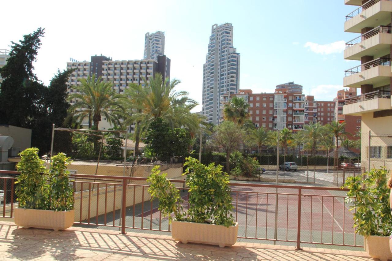 דירות בנידורם Acuarium מראה חיצוני תמונה