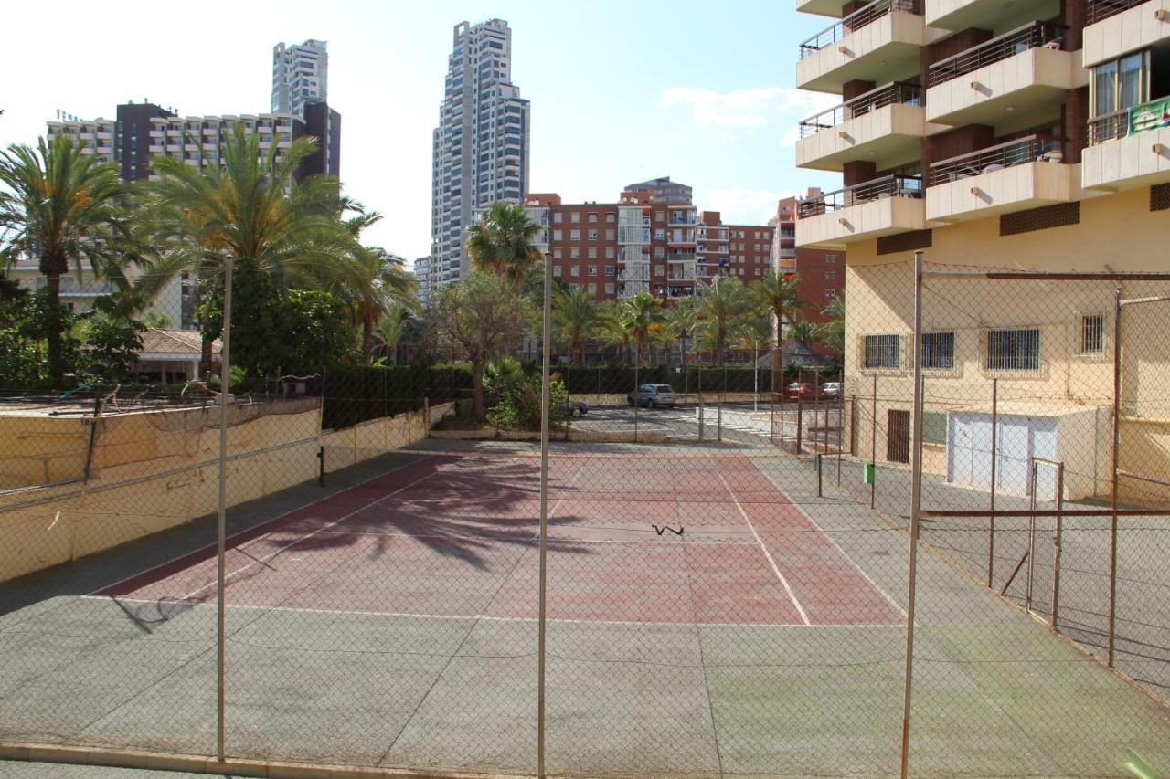 דירות בנידורם Acuarium מראה חיצוני תמונה